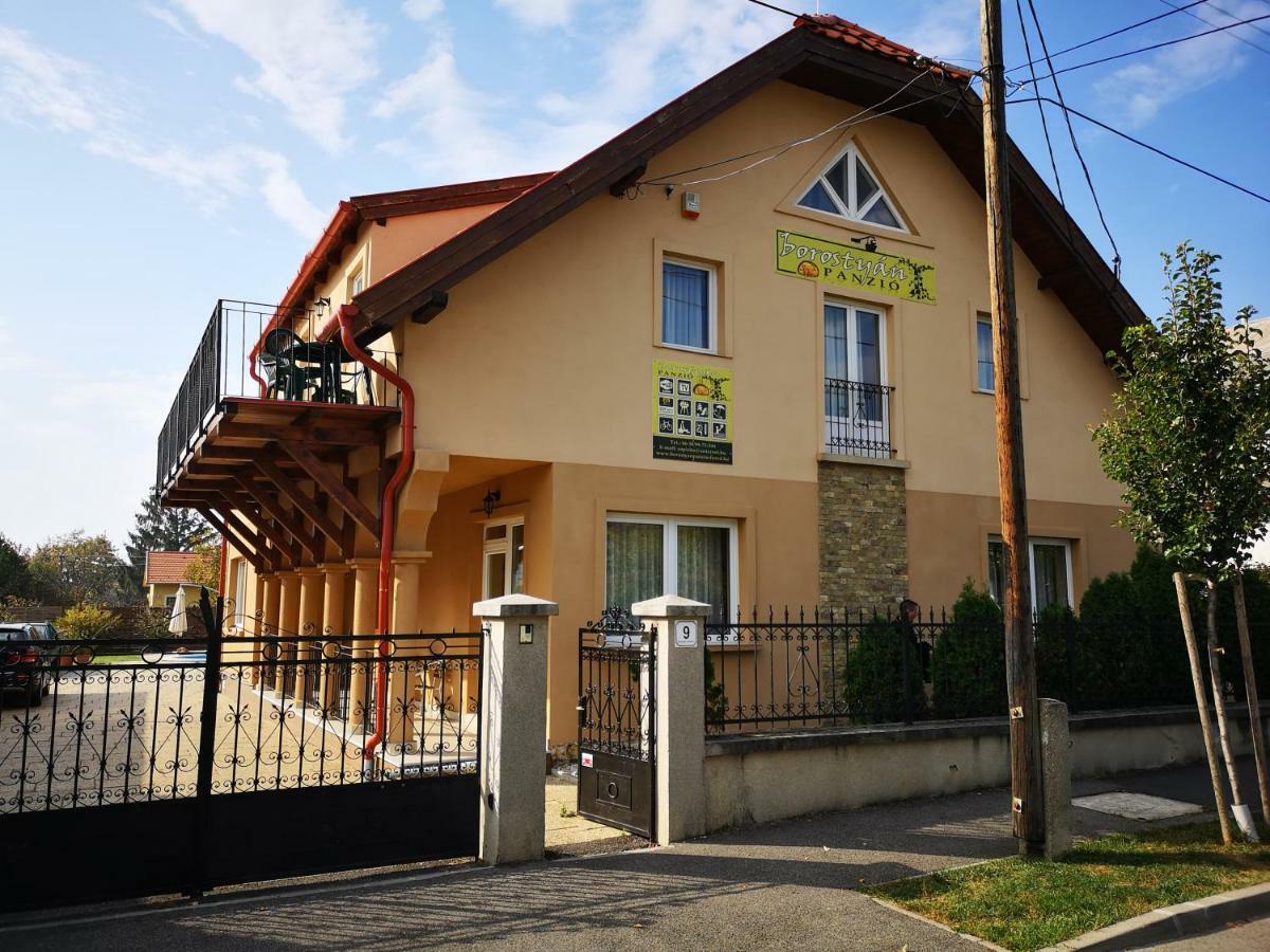 Borostyan Panzio Balatonfuered Bed & Breakfast Ngoại thất bức ảnh
